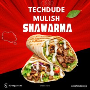 Techdude Mulish Shawarma
